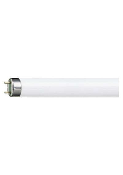 Philips Tl-D 36W T8 Floresan Snow White 12000 120 CM