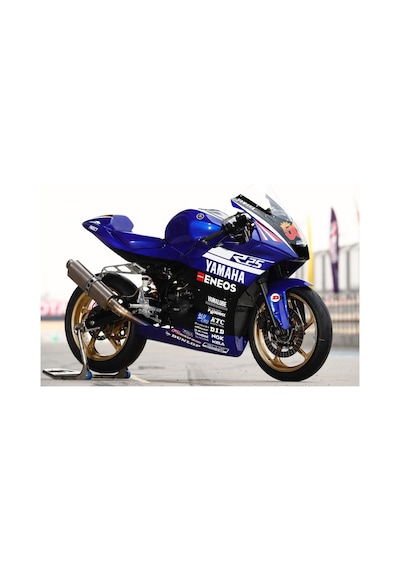 Yamaha R25 Gauloises Sticker Etiket Modeli