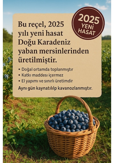 Blackseaorganics Ev Yapımı Yaban Mersini Reçeli 350g Katkısız & Geleneksel Üretim