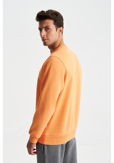 AR-MA Arma Erkek Regular Fit 3 İplik Şardonlu Pamuklu Bisiklet Yaka Sweatshirt 001