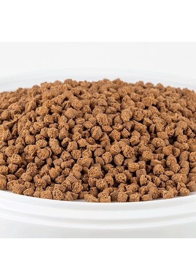 Rasyon Nirvana Papağan Yemi 1 KG