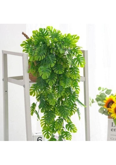 Yapay Çiçek Sarkan Monstera Devetabanı 5 Dallı 70cm Diğer