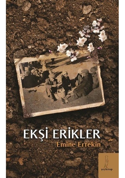 Ekşi Erikler - Emine Ertekin - ŞEY Kitap