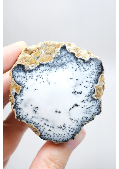 Dendritik Simya: Merlinit Dendritik Opal - Cilalı Çift