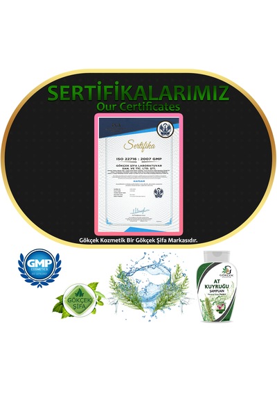 At Kuyruğu Şampuan 300ml Tüm Saçlar