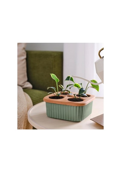Ikea Daksjus Saksı, Terakotta-yeşil