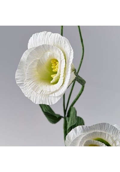 Ikea Guldspett Yapay Çiçek, Beyaz, 55 Cm, Lalegül
