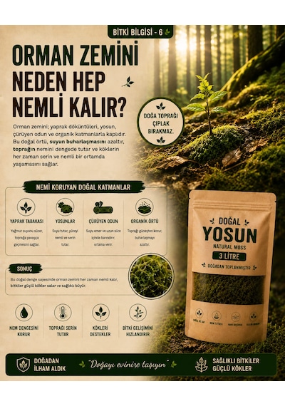 3 Litre Doğal Yosun Torfu, Lif Parça Canlı Spagnum Floor Moss Yosun, Teraryum, Orkide, Toprak Katkısı,dekor
