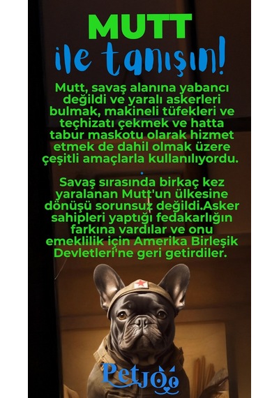 Petjoo 10.Mutt Mavi-Yeşil Qr'lı Köpek Künyesi
