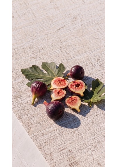 Dolce Vita Halı Macaron 4402 Filo Modern Halı Bej