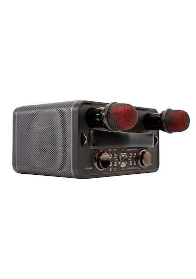 Hometech HT-202 Bluetooth  5.0 Speaker + 2 Mikrofon