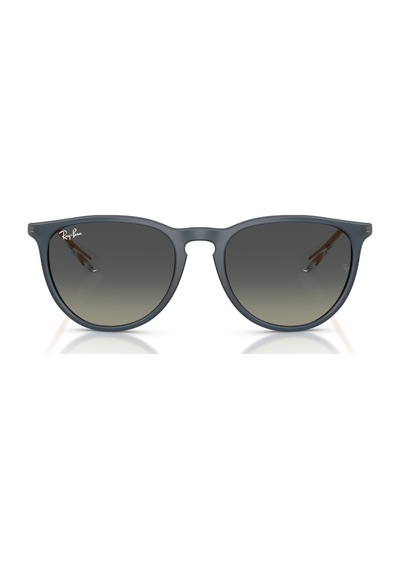 Ray-Ban Rb 4171 681311 54 Erkek Erıka Güneş Gözlüğü Siyah