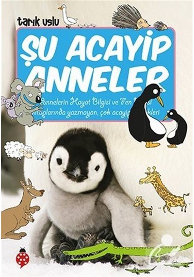 Mercankitap Şu Acayip Anneler / Tarık Uslu