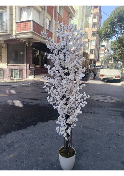 Rüzgar Yapay Çiçekçilik 180 Cm Beyaz Saksıda Beyaz Bahardali Ağacı Beyaz