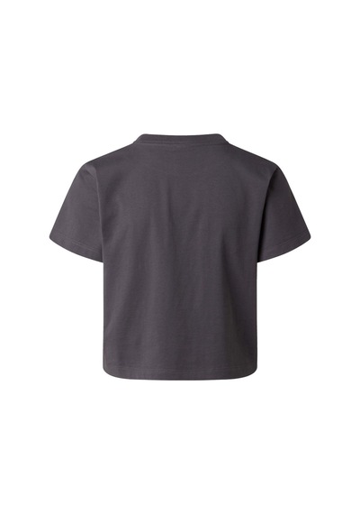 The North Face W Essentıal Regular Short Sleeve Cutıe T Kadın Tişört Nf0a8gr1rhı1 Gri