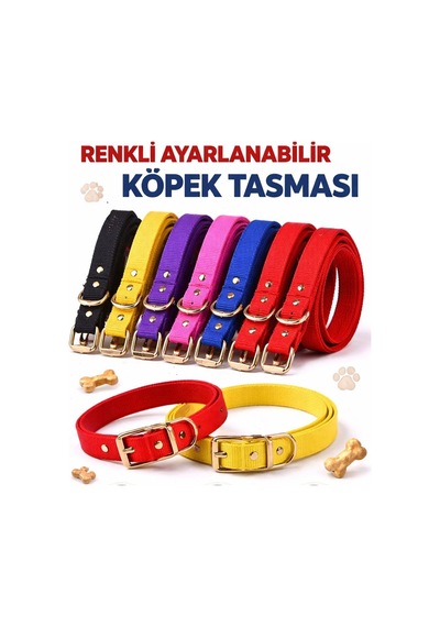 Ayarlanabilir Kedi Köpek Boyun Tasması 35 Cm Çok Renkli