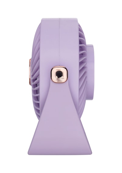 Wexta Zb112 Taşınabilir Masaüstü Mor Usb Fan