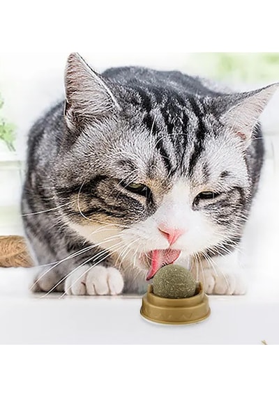 Kedi Yalama Topu Doğal Catnipli Yenilebilir Kedi Nanesi Otu Oyun Topu Oyuncağı Cat Top Oyuncak
