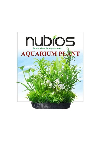 Nubios Plastik Bitki Kare Tabanlı Tekli Karton 10 Cm 219-59014.01