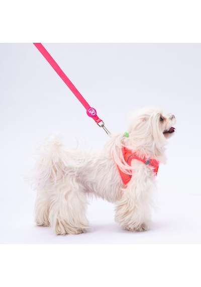 Pawstar Neon Pembe Leash Kedi Köpek Sevk & Gezdirme Kayışı Köpek Uzatma Tasması Pembe