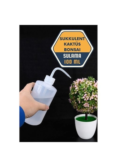 Sukkulent Kaktüs Bonsai Sulama Şişesi Renkli