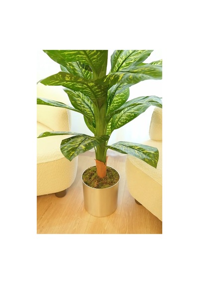 Rüzgar Yapay Çiçekçilik 170 Cm Difenbahya 25x25 Silver Saksı Yeşil