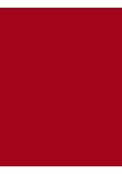 Flormar Kalıcı Mat Stick Ruj - Color Master Sls. - 014 The Red- 8682536018043