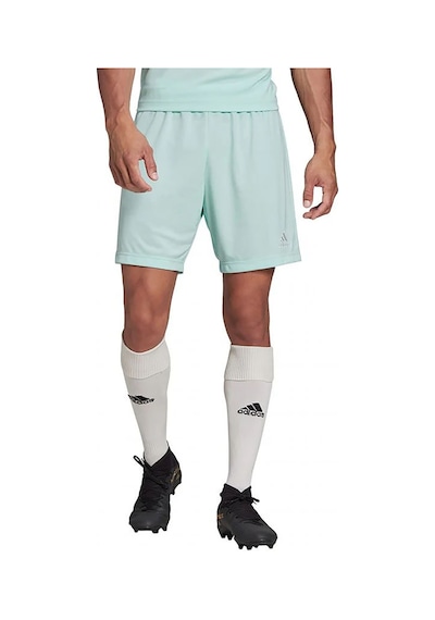 Clemın Adidas Erkek Futbol Şort Ent22 Sho Hc5051 Mavi