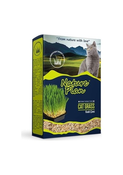 Nature Plan Kedi Çimi