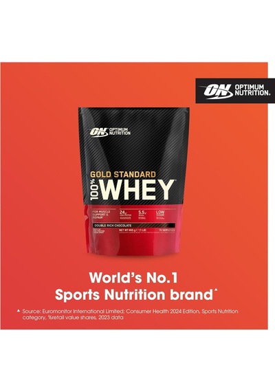 Optimum Nutrition 100% Whey Gs Chocolate Bag, 465 Gr