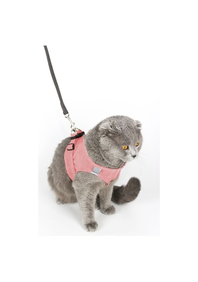 Kedi Gezdirme Tasması - Kedi Tasması Göğüs Tasma Seti Yumuşak Süet Pembe Renk