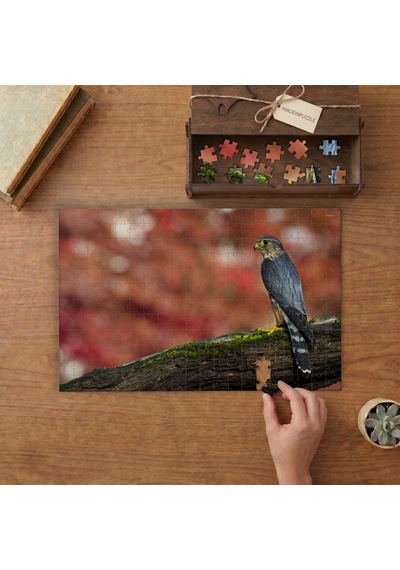 Dalın Üstünde Boz Doğan Kuşu Tasarımı 240 Parça Ahşap Puzzle Ahşap Kutuda Mpy40448