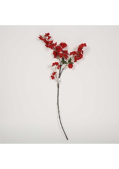Vitale Kiraz Çiçeği Red Kiray Çiçek 20 100 9 Cm