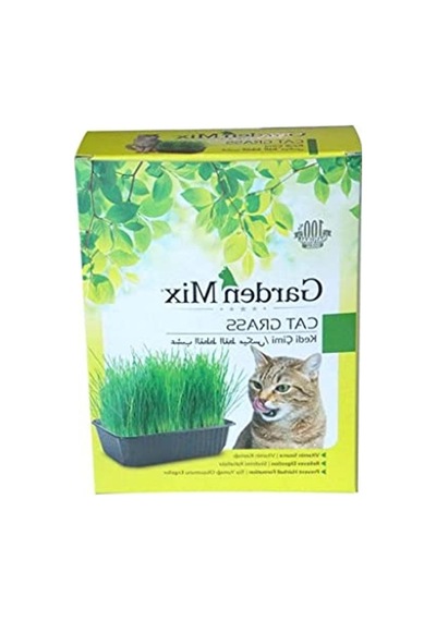 Garden Mix Kutu Kedi Çimi, Kahverengi, 1