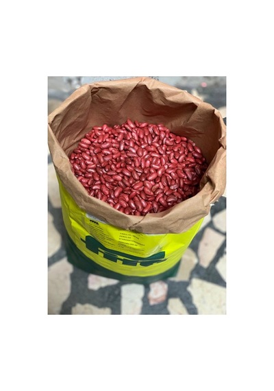 Fito Perolar Sırık Fasulye Tohumu 100 Gr