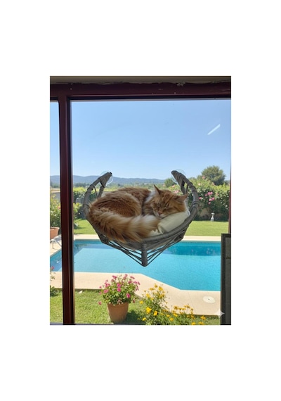 Vantuzlu Cam Önü Kedi Yatağı Gri Örgü Tasarım Minderli Kedi Hamak Seyir Terası