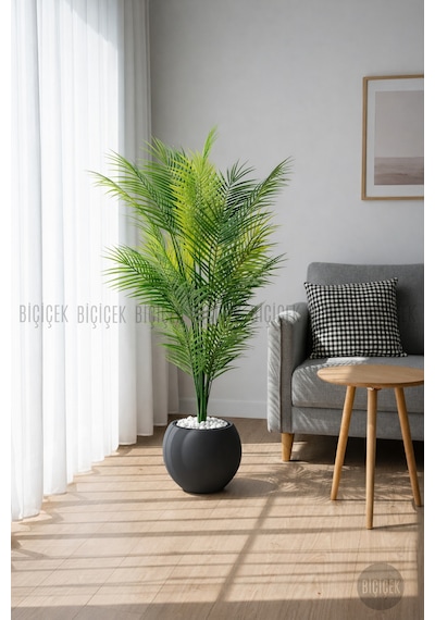 Biçiçek Areka Ağaci 24 Yapraklı 130 Cm Antresi̇t Küre Saksıda