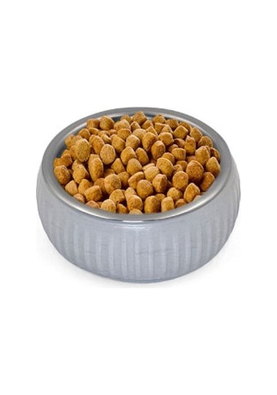 Mikopet Organik Seramik Mama Kabı Gri