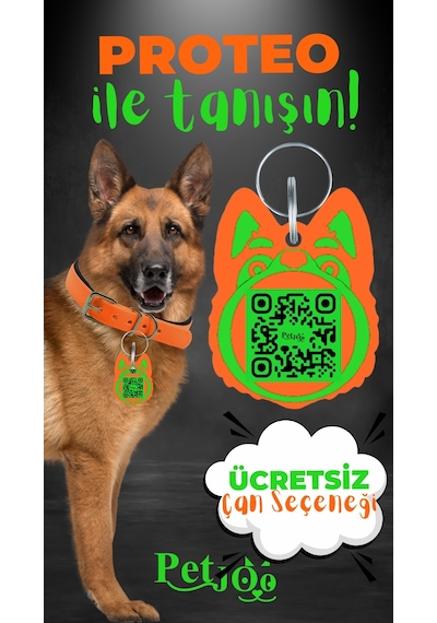 Petjoo 24.Proteo Yeşil-Turuncu Qr'lı Köpek Künyesi