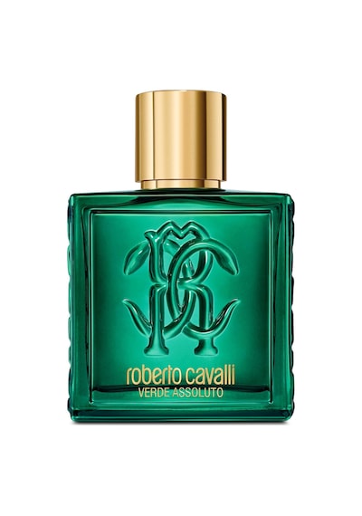 Signature Uomo Verde Assoluto Edp Erkek Parfümü 100 Ml Diğer