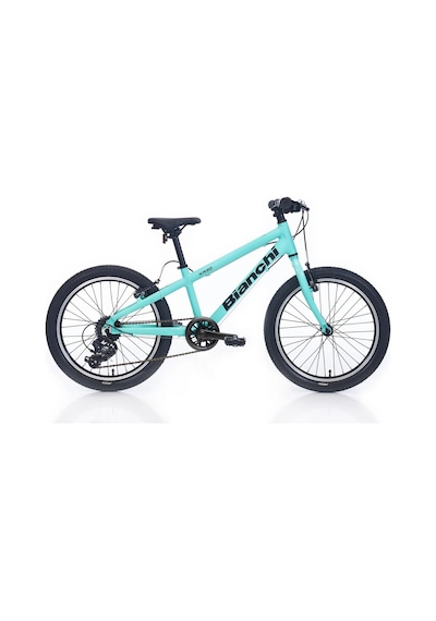 Bıanchı Xr20 Erkek Çocuk Bisikleti 280h V 20 Jant 7 Vites Shımano 7c Celeste Siyah Çok Renkli