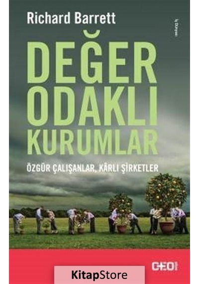 Değer Odaklı Kurumlar / Richard Barrett