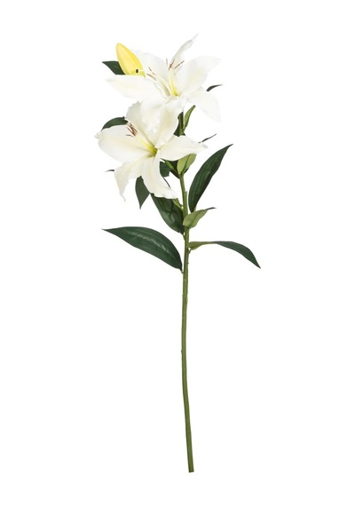 Zambak Çiçeği Beyaz 85 Cm Çok Renkli