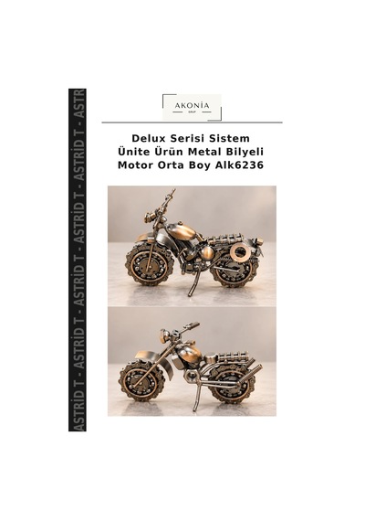 Delux Serisi Sistem Ünite Ürün Metal Bilyeli Motor Orta Boy Alk6236