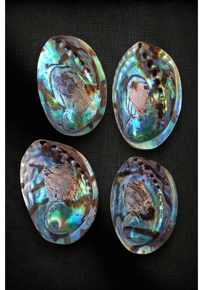 Abalone Shell Süper Renkli Istiridye Kabuğu