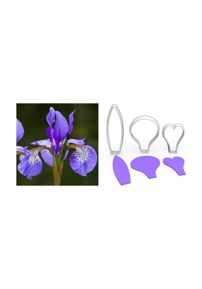 Irıs Çiçek Yapım Kesici Set 3 Parça