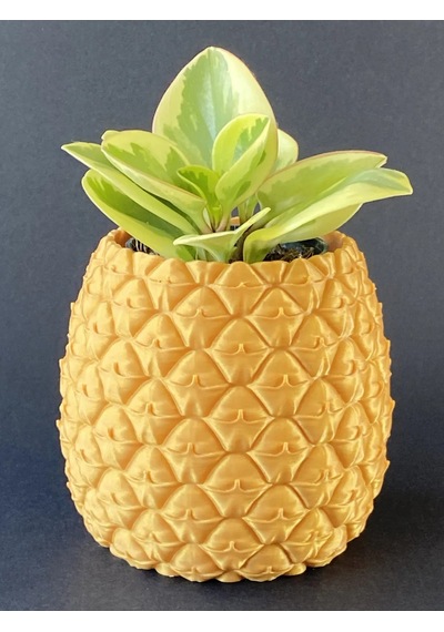Storeşahin 3d Baskı Ananas Formlu Saksı Ve Kalemlik Kabartma Dokulu Sukulent Saksısı Masaüstü Bitki Ve Kalem Tutucu Shn0720