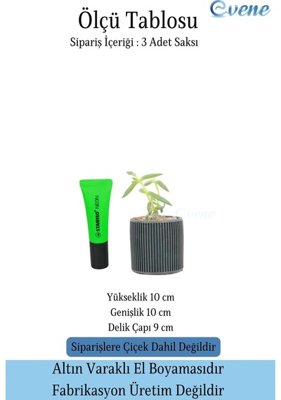 Mini Çiçek Saksı Küçük Sukulent Siyah Kaktüs Saksısı 3'lü Set Düz İnce Çizgili Model