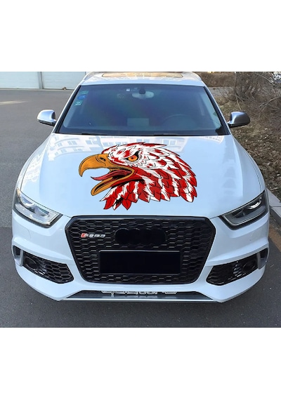 Kartal Sticker - Vahşi Kartal Sticker - Araba Oto Motosiklet Karavan Cam Sticker - 00945 10X8 Cm