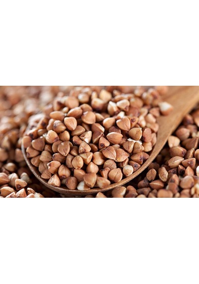 Karabuğday Tohumu Kara Buğday Tohumu 100 GR Tohum +